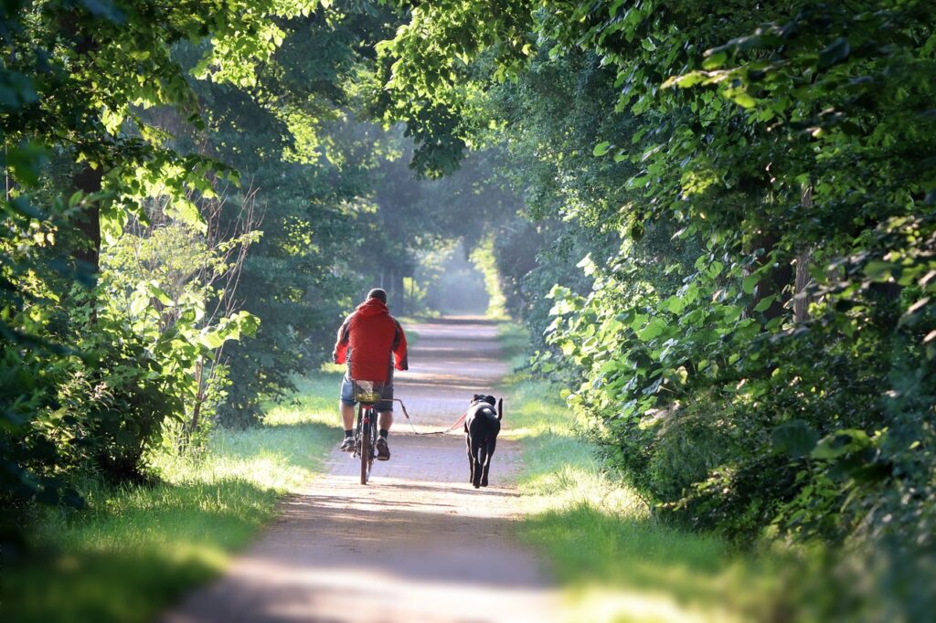 bike, cyclist, dog